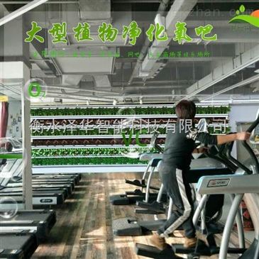 52A室内工厂制氧净化设备 五重净化与智能网络的融合创新